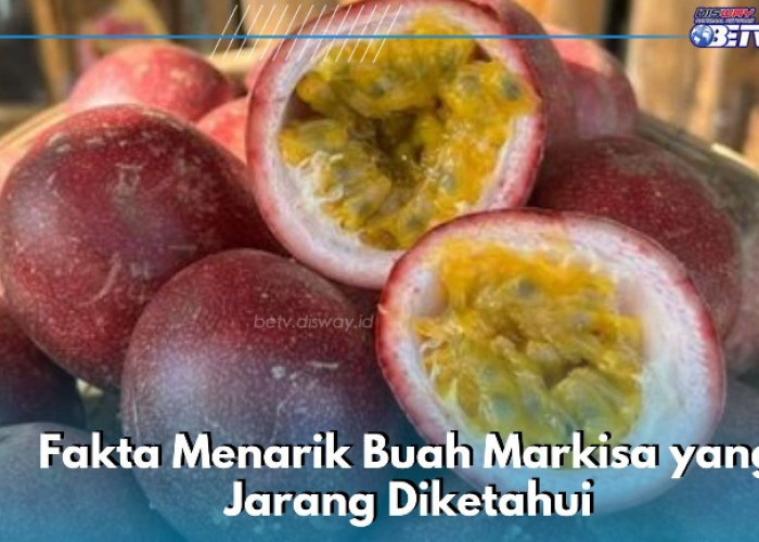 Buah Markisa Kaya Nutrisi, Cek Fakta Menarik Lainnya di Sini, Kamu Perlu Tahu