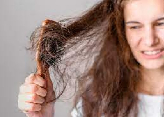 7 Penyebab Rambut Mudah Rusak dan Rontok, Ini Kebiasaan yang Harus Dihindari