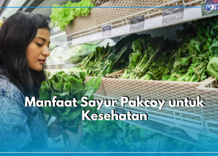 Konsumsi Sayur Pakcoy Baik Untuk Kesehatan, Salah Satunya Jaga Kesehatan Tulang, Cek Manfaat Lainnya Disini!