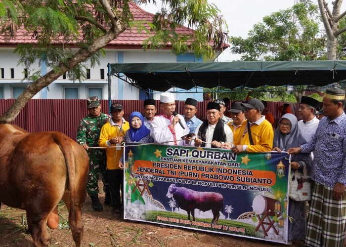 Berbobot 840 Kilogram, Sapi Kurban Bantuan Presiden Prabowo Resmi Disalurkan Pemkot Bengkulu ke Sumber Jaya