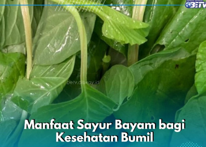 Manfaat Sayur Bayam Sehari-hari, Ampuh Meningkatkan Mood Ibu Hamil