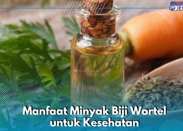 Ampuh Mencegah Infeksi Kulit, Ini Manfaat Lain Minyak Biji Wortel yang Jarang Diketahui