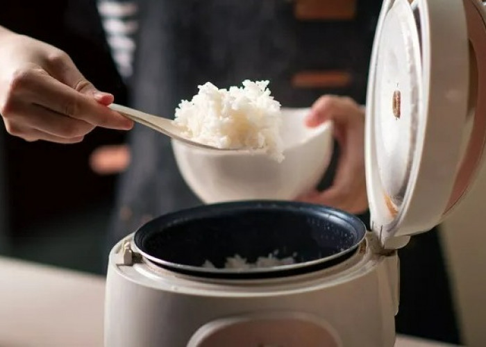 Bansos Rice Cooker Gratis Cair Hari Ini? Cek Jadwal Penyalurannya, Lengkap dengan Syarat Penerima