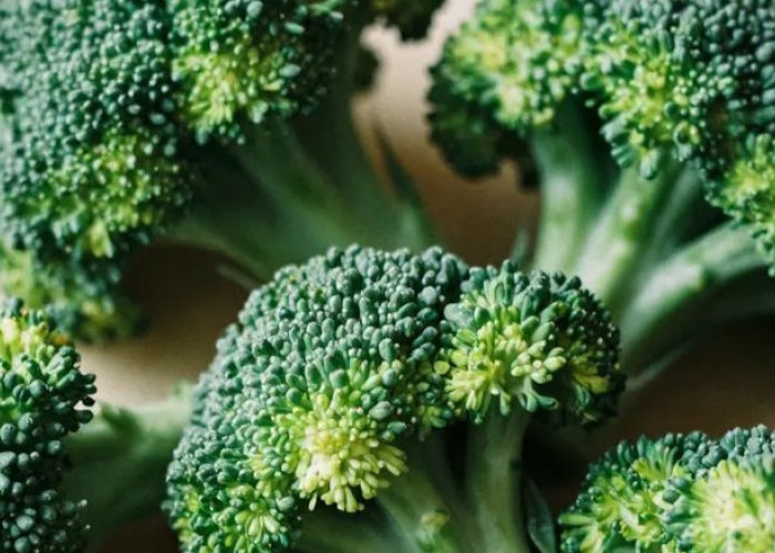 Cek Makanan yang Aman untuk Mata Ini, Salah Satunya Sayuran Hijau