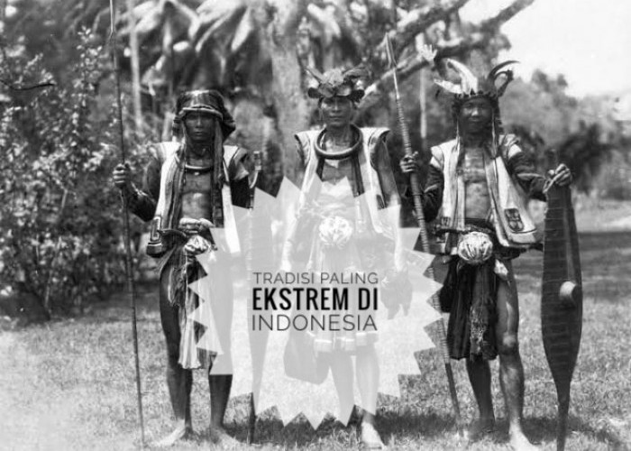 7 Tradisi Paling Ekstrem di Indonesia, Ada Ritual Masa Lalu Suku Dayak Memenggal Kepala Manusia 