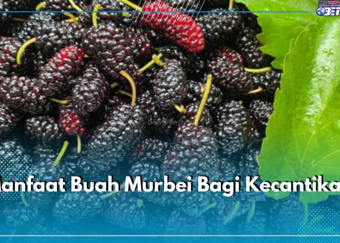 Manfaat Buah Murbei Bagi Kecantikan, Ampuh Mencerahkan dan Mengatasi Penuaan Dini