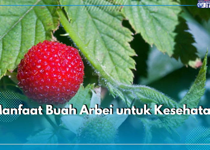 5 Manfaat Buah Arbei untuk Kesehatan yang Perlu Kamu Ketahui, Bisa Jaga Berat Badan