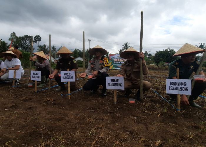 Penanaman Jagung 1 Juta Hektar Dimulai di Rejang Lebong, Pemda Siapkan Lahan Ratusan Hektar