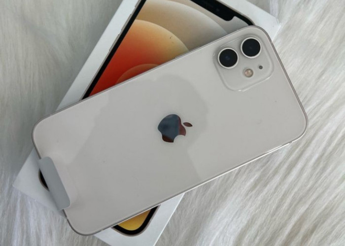 Cek Harga iPhone 11 Hari Ini, Terbaru di iBox Turun Menjadi Rp5 Jutaan, Simak Rincian Lengkapnya