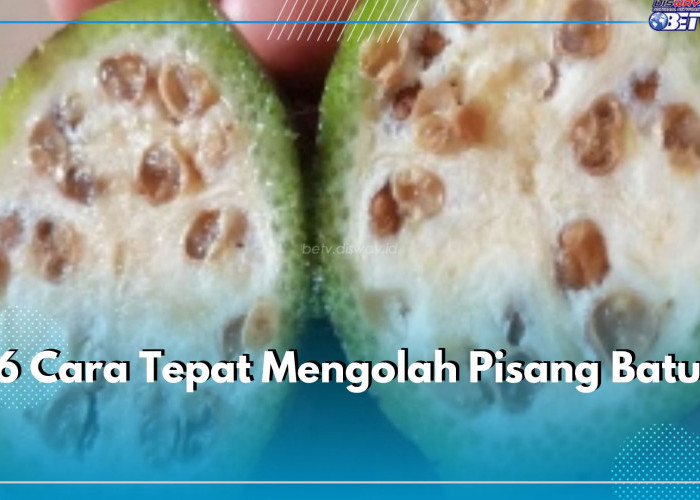 6 Cara Tepat Mengolah Pisang Batu, Ampuh Mengatasi Ragam Penyakit Ini