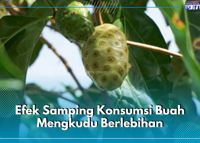 Wajib Tahu! Ini 6 Efek Samping Konsumsi Buah Mengkudu Berlebihan, Berpotensi Merusak Hati 