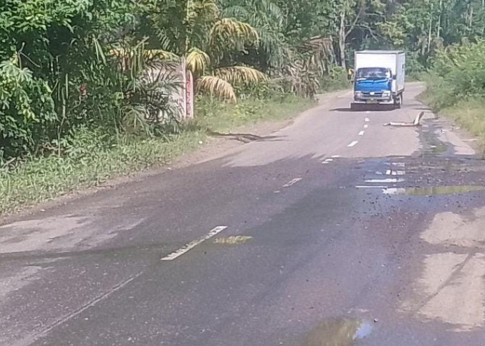 Pengendara Diminta Waspada, Jalan Lintas Barat di Seluma Dipenuhi Lubang Besar