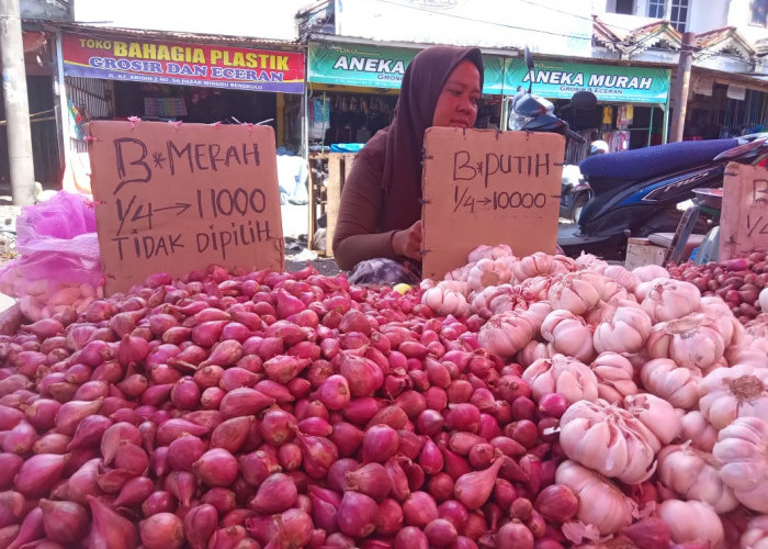 Jelang Ramadhan, Harga Telur hingga Bawang Putih di Kota Bengkulu Kompak Naik