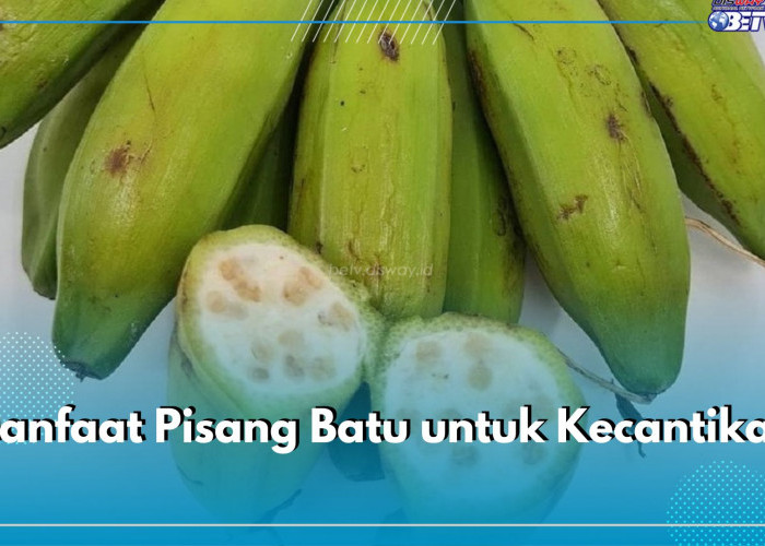 Tidak Hanya Kesehatan, Pisang Batu Siapkan 10 Manfaat Ini untuk Kecantikan