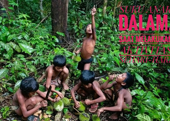 Mengenal Suku Anak Dalam, Suku Bangsa Minoritas yang Tinggal di Hutan Sumatera