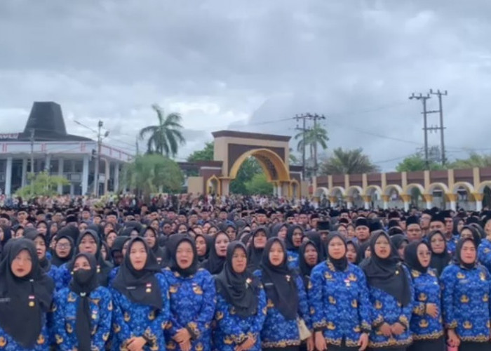 Hasil Rapat TAPD, THR Tenaga PPPK Paruh Waktu Bengkulu Dibayar Rp500 Ribu