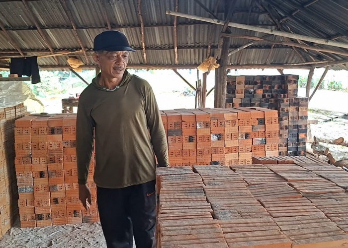 Harga Batu Bata di Seluma Turun Rp70 per Buah, Pengrajin Keluhkan Sepinya Pembangunan