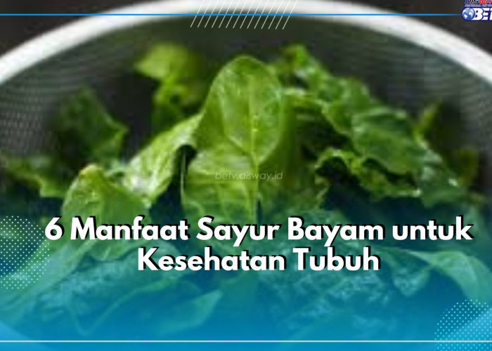 Baik untuk Tubuh hingga Ampuh Turukan Risiko Asma, Klaim 5 Manfaat Lain Sayur Bayam Disini!