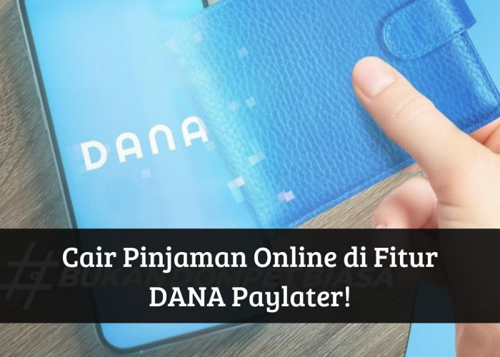 Langsung Cair Pinjaman Online ke Dompet Digital, Ambil Uang di DANA Paylater Rp10 Juta Syarat Cukup Pakai KTP
