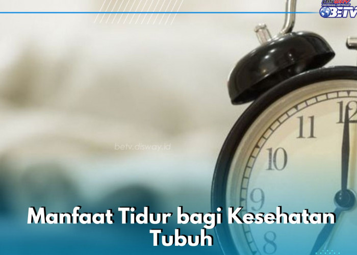 Coba Cek Manfaat Tidur Ini, Dipercaya Baik bagi Kesehatan Jantung, Kamu Perlu Tahu!