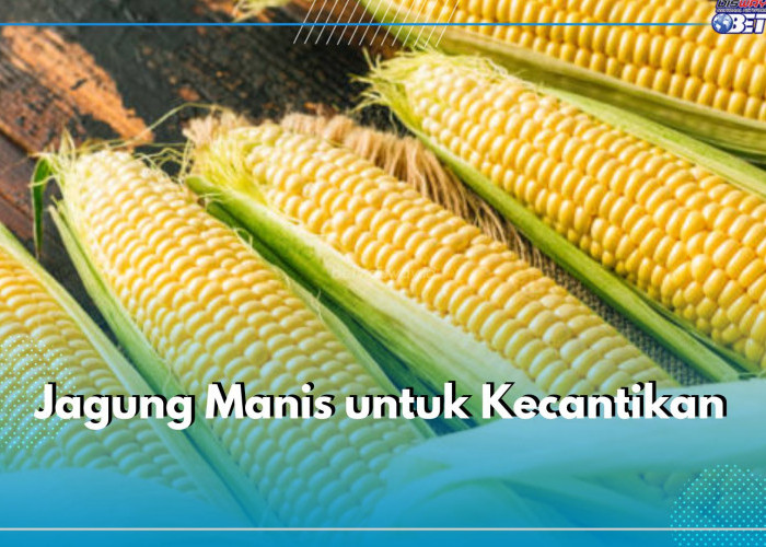 Enak Diolah Menjadi Camilan Lezat, Ini Manfaat Jagung Bagi Kecantikan