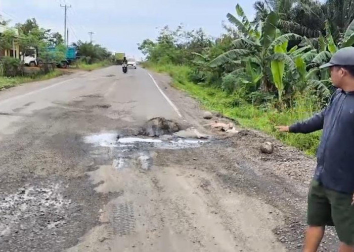 Jalan Bypass Bentiring Permai yang Baru 2 Bulan Diperbaiki Kembali Rusak