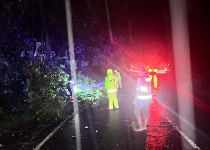 Tanah Longsor-Pohon Tumbang di Kawasan Gunung Liku Sembilan Tutupi Setengah Badan Jalan 