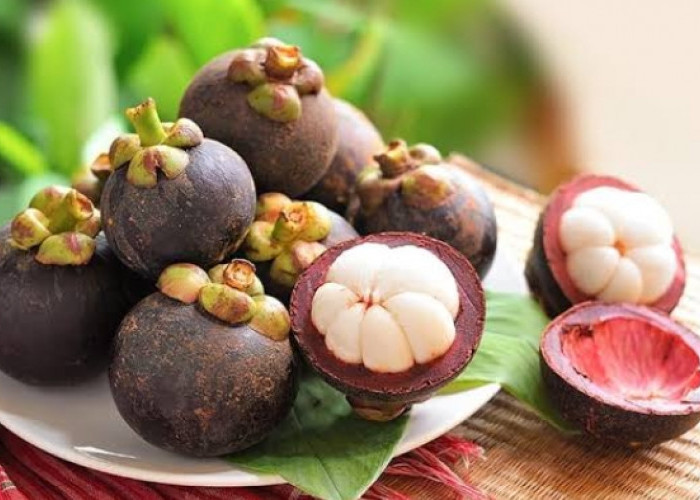 Konsumsi Buah Manggis Berlebihan Bikin Gangguan Pencernaan, Simak Efek Sampingnya Disini!