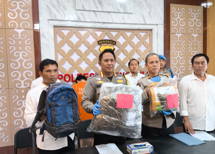 Polresta Bengkulu Berhasil Gagalkan Peredaran Ganja 6 Kilogram Asal Padang 