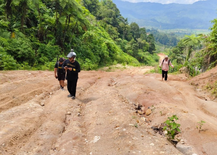 Izin Pinjam Kawasan Turun, Pembangunan Jalan Padang Capo Kembali Dilanjutkan