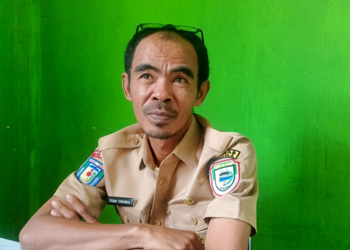 PMK dan Jembrana Masih Nihil, Distan Seluma Siapkan Vaksin dan Logistik Obat Ternak