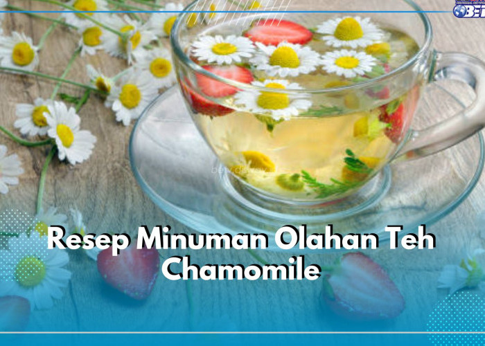 Bikin Teh Makin Nikmat dengan 4 Resep Minuman Olahan Teh Chamomile Ini, Ada Milk Tea hingga Latte