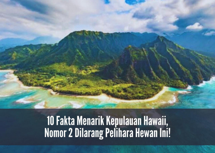 10 Fakta Menarik Kepulauan Hawaii, Nomor 2 Dilarang Pelihara Hewan Ini!