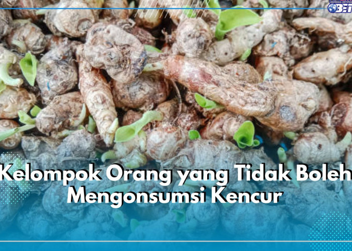 5 Kelompok Orang Ini Tak Boleh Konsumsi Kencur, Siapa Saja?