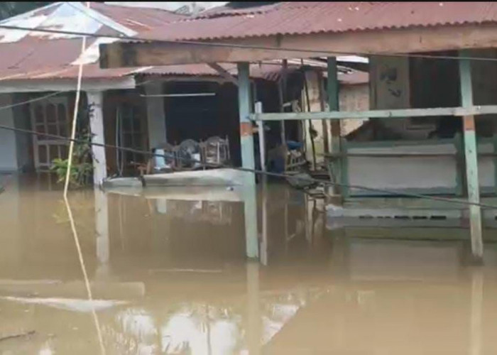 Banjir Rendam 8 Kecamatan di Kota Bengkulu, Tercatat 11.601 Warga Terdampak