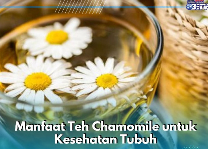 Teh Chamomile Ampuh Meredakan Stres, Cek Manfaat Lengkapnya di Sini