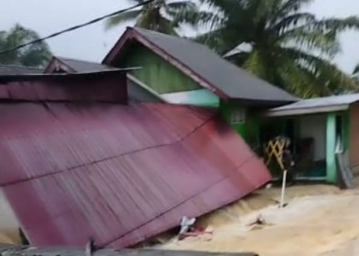 BREAKING NEWS: 7 Rumah di Desa Selika I Kaur Dikabarkan Hanyut Terbawa Arus Banjir