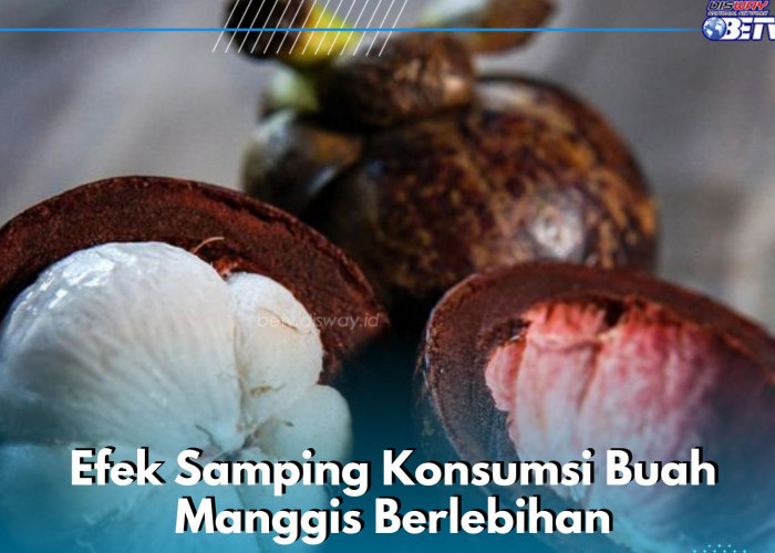 Bisa Sebabkan Masalah Pencernaan, Cek Dampak Konsumsi Buah Manggis Berlebihan di Sini