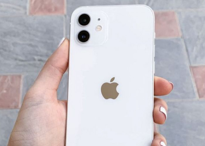 Cek Fitur dan Spesifikasi iPhone 11, Masih Worth It Dipakai? Segini Harga Terbarunya di IBox