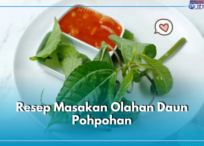 Jangan Cuma Lalapan, Coba Kreasikan Daun Pohpohan dengan 4 Resep Praktis Ini, Yuk Masak!