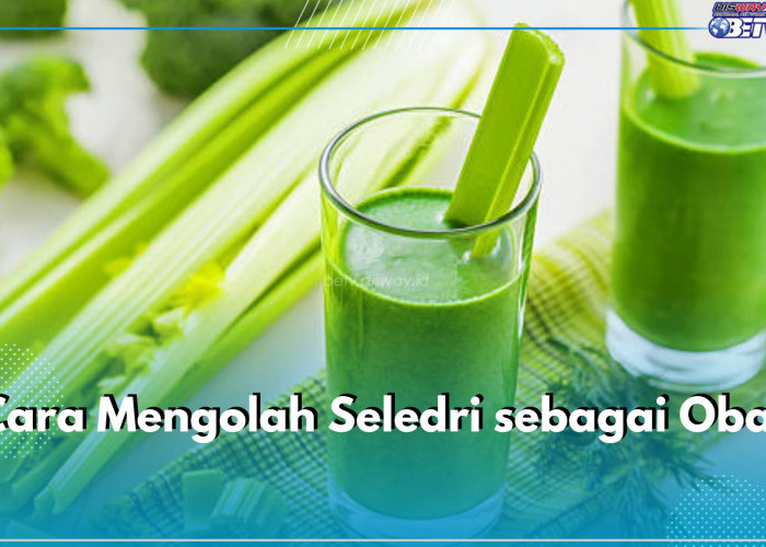 Bingung Cara Olah Seledri Jadi Obat Tradisional? Coba 6 Cara Mudah Ini, Salah Satunya Jadi Jus!