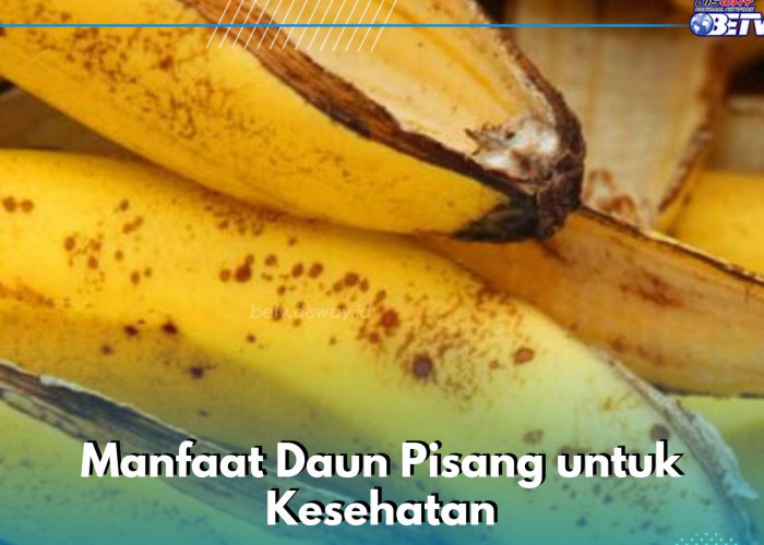 Kulit Pisang Punya 7 Manfaat yang Baik bagi Kesehatan, Salah Satunya Dapat Membuat Gigi Putih