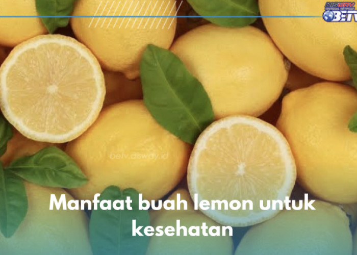 9 Manfaat Lemon untuk Kesehatan, Nomor 4 Bantu Cegah Infeksi, Cek yang Lain