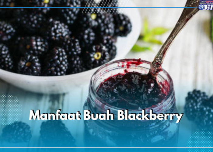 Segudang Manfaat Buah Blackberry untuk Kesehatan, Cek Kandungan dan Khasiatnya di Sini