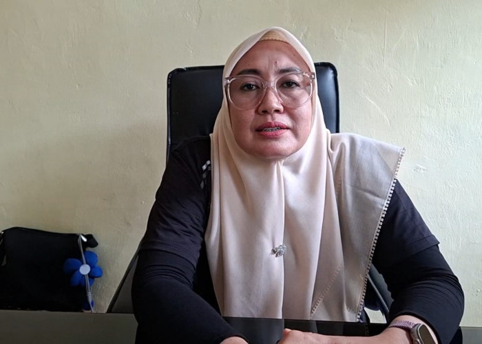 Dinkes Seluma Catat 29 Kasus Kematian Bayi Sepanjang 2025, Ini Penyebab Utamanya