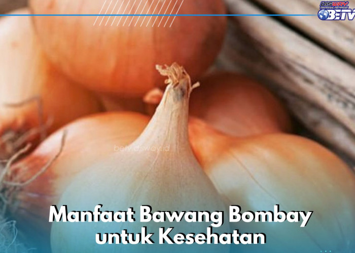 Bawang Bombay Ini Ampuh Mencegah Konstipasi, Cek Manfaat Lainnya di Sini