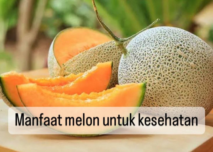 10 Manfaat Buah Melon untuk Kesehatan, Cegah Dehidrasi hingga Sehatkan Mata, Cek Kandungannya