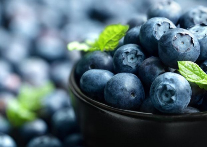 7 Efek Samping Buah Blueberry bagi Kesehatan, Berlebihan Bisa Sebabkan Perut Kembung 