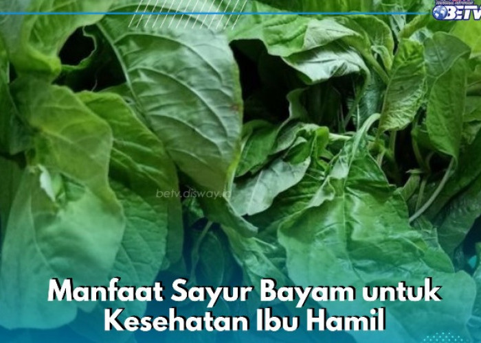 Sayur Bayam Dapat Meningkatkan Kekebalan Tubuh Ibu Hamil, Cek Manfaat Lainnya di Sini