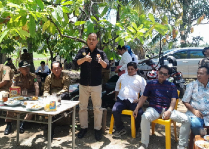 Komisi II DPRD Kota Bengkulu, Usulkan Kawasan Persawahan Danau Dendam Menjadi Lokasi Agrowisata